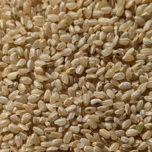 Organic Short Grain Brown Rice (Loose pack) 有機意大利短糙米1kg (散裝)